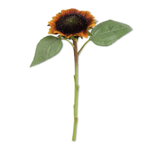 Orange Sunflower Stem