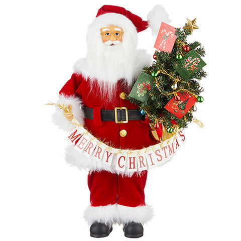 Merry Christmas Santa