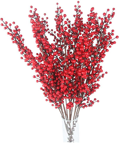 Rosehip and Red Berries