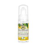 Travel Foaming Hand Soap