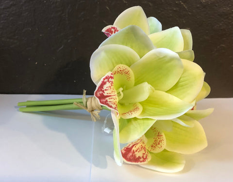 Orchid Bundle