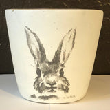 Peter Rabbit Pot