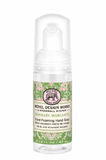 Travel Foaming Hand Soap