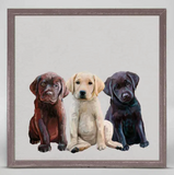 "Dog Mini Canvas Framed" (Multiple Variants)