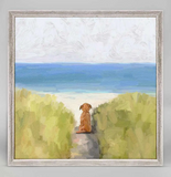 "Dog Mini Canvas Framed" (Multiple Variants)