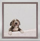 "Dog Mini Canvas Framed" (Multiple Variants)