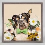 "Dog Mini Canvas Framed" (Multiple Variants)