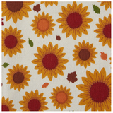 Pumpkin Spice Assorted Dishtowel (5 variants)