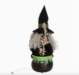 Animated Witch with Cauldron