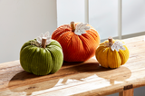 Orange Corduroy Pumpkin Sitter