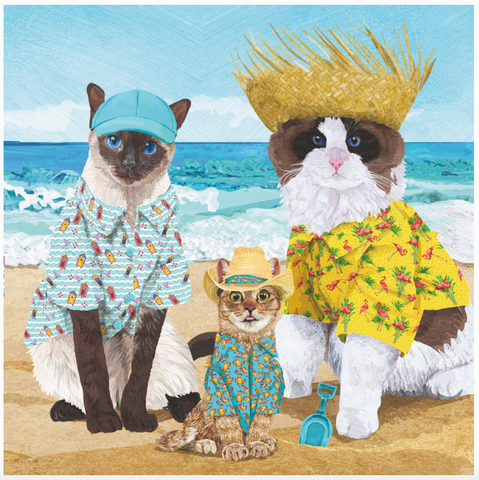 Lunch-Cat's Beach Party