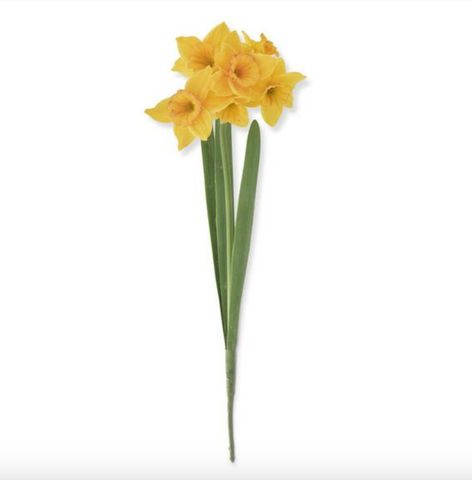18" Bloom & Bud Daffodil Stem (2 Variants)