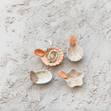 Shell Dish with Shell Shaped Handle (4 Styles)