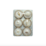 Magnets on Metal Card with Shells (Set of 6)