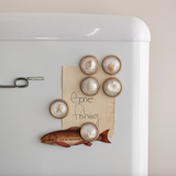 Magnets on Metal Card with Shells (Set of 6)