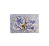 Oyster Shell Shaped Magnets (Set of 4)