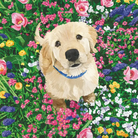 Bev-Garden Lab