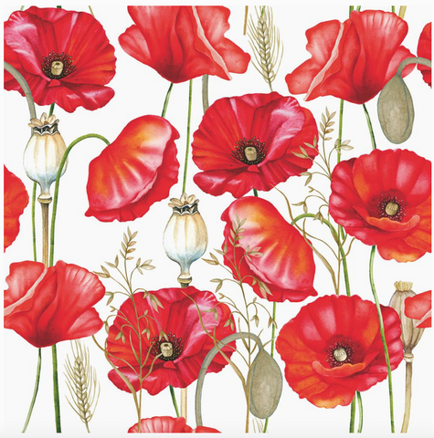 Bev- Poppy All Over, White By Ambiente