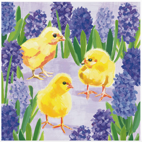 Bev-Chicks in Hyacinth