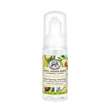 Travel Foaming Hand Soap
